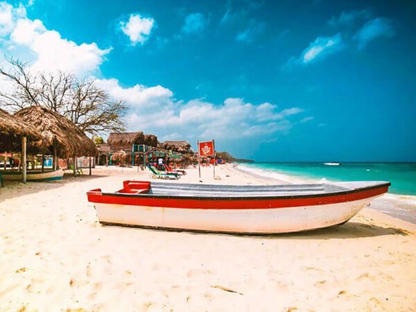 Rosario Islands Boat Tour - Image 4