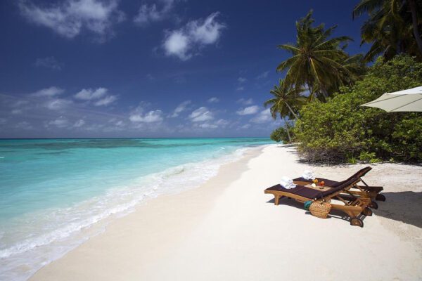 Rosario Islands Boat Tour - Image 3