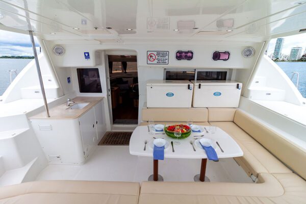 Party on Chicote catamaran with drinks and music