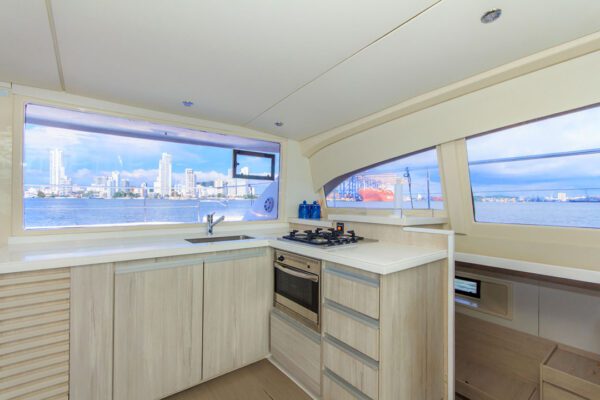 Guests dancing and celebrating on New Horizon catamaran