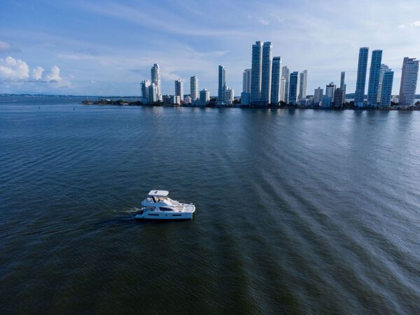 Party on deck of New Horizon catamaran with tropical backdrop