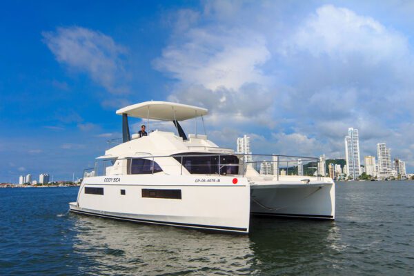 Group of friends celebrating on the deck of Oddy Sea catamaran