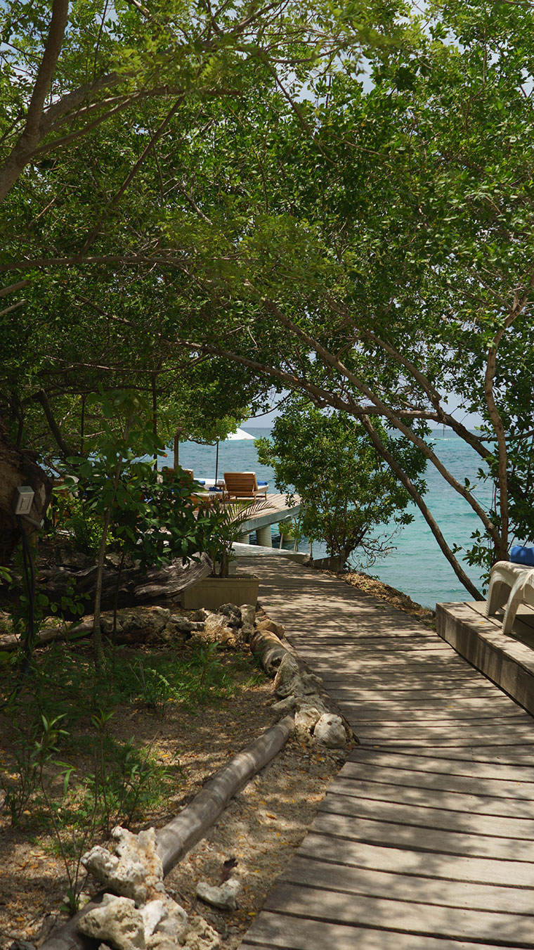 Botegena Cartagena Colombia Tours Family Day Trip Boat Tour Experience Image 09