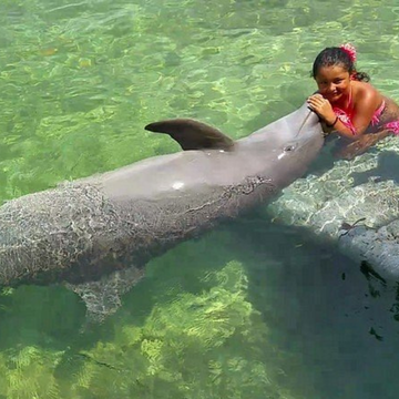 Child meeting a dolphin at Oceanario during a Cartagena family day trip