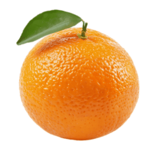 add oranges to your boat island tour cartagena colombia