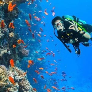 scuba diving cartagena private boat rental