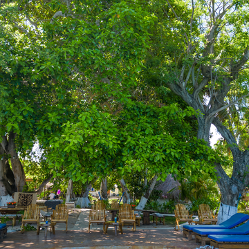 Lounge beds and beach club seating at Ibbiza Beach Club on the Cartagena 3 Island Tour.