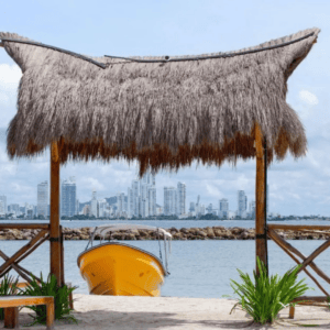 Day Pass – Amalife