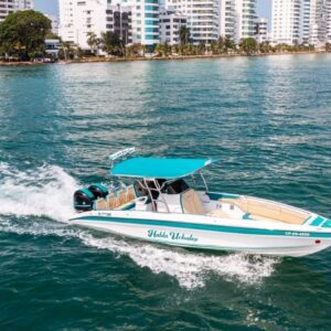 Habla Uchalex – 29 ft Speed Boat