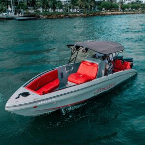 Poseidon – 29 ft Speed Boat