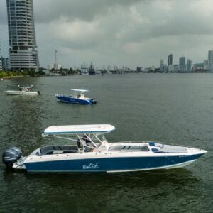 Real Life – 38 ft Speed Boat