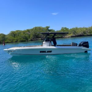 Valor – 30 ft Speed Boat