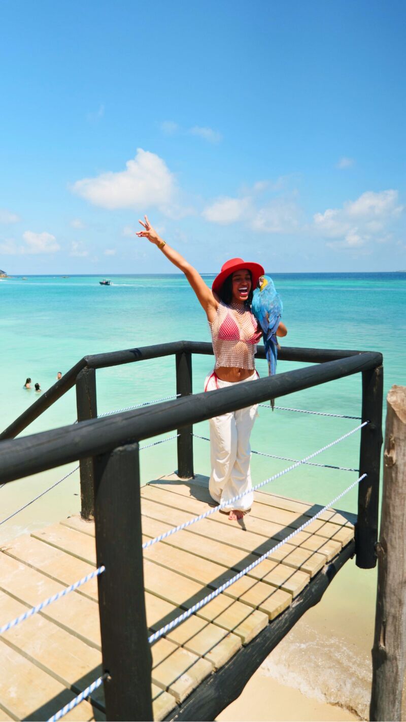 Image for the Tweet beginning: Sunshine, sea breeze, and feathered