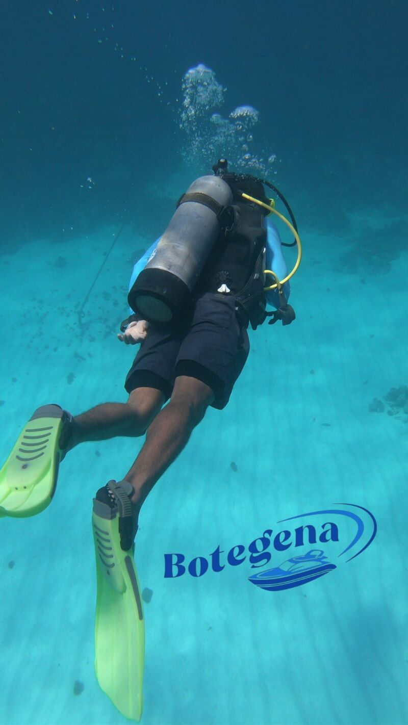 Image for the Tweet beginning: Choose your vibe:
💙 Snorkel Rosario
💛