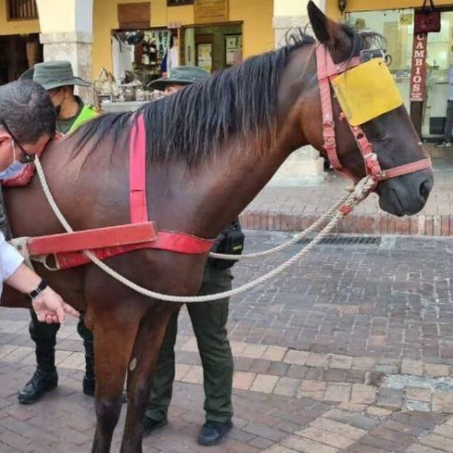 Image for the Tweet beginning: Cartagena (Colombia) pone fin a